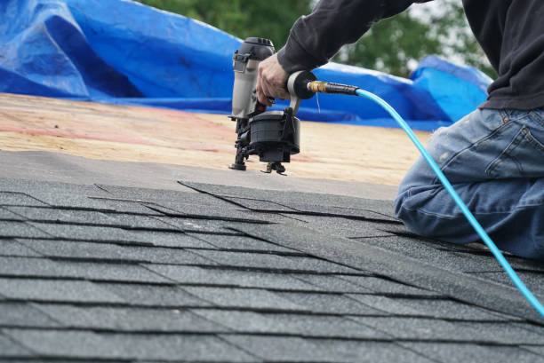 Best Roof Gutter Cleaning  in Frankfort, KY