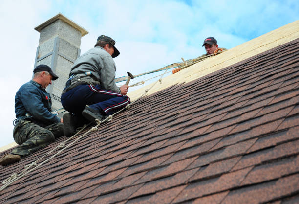Best Local Roofing Companies  in Frankfort, KY
